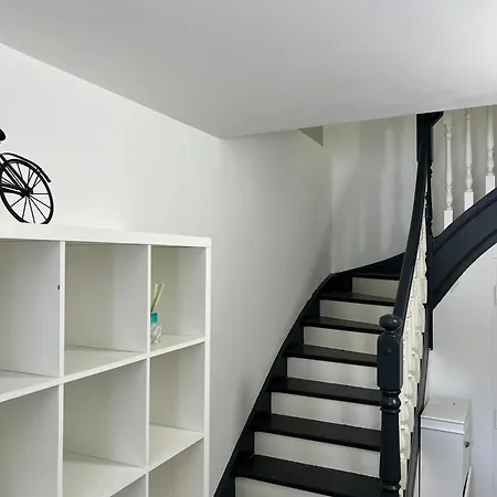 Wamal فيلة موجيو